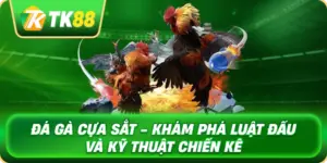 da_ga_cua_sat_kham_pha_luat_dau_va_ky_thuat_chien_ke_1x