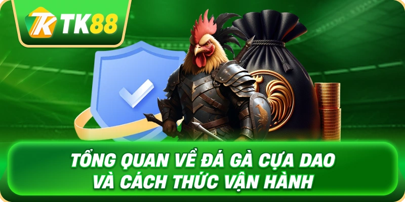 tong_quan_ve_da_ga_cua_dao_va_cach_thuc_van_hanh_1x